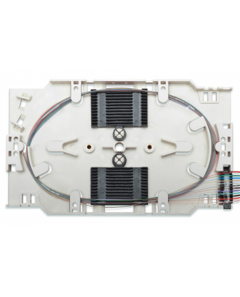 Digitus Professional Kaseta Beżowa (A9653302UPC4) nr 1
