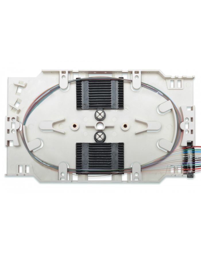 Digitus Professional Kaseta Beżowa (A9653302UPC4) główny