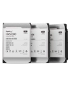 synology Dysk HDD SATA 12TB HAS5300-12T 3,5 cala SAS 12Gb/s 512e 7,2k - nr 2