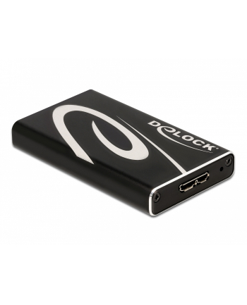 DeLOCK Ext.Ge. SuperS USB for mSATA SSD - 42006