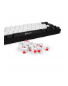 Sharkoon Kailh Box Red switch set, key switches (red/transparent, 35 Pieces) - nr 4
