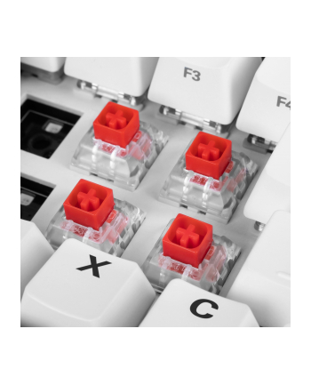 Sharkoon Kailh Box Red switch set, key switches (red/transparent, 35 Pieces)