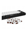 Sharkoon Kailh Box Brown switch set, key switches (brown/transparent, 35 Pieces) - nr 15