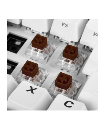 Sharkoon Kailh Box Brown switch set, key switches (brown/transparent, 35 Pieces)