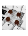 Sharkoon Kailh Box Brown switch set, key switches (brown/transparent, 35 Pieces) - nr 2