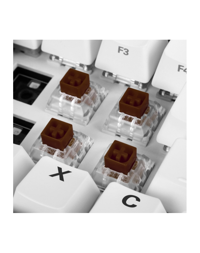 Sharkoon Kailh Box Brown switch set, key switches (brown/transparent, 35 Pieces) główny