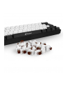 Sharkoon Kailh Box Brown switch set, key switches (brown/transparent, 35 Pieces) - nr 3