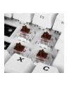 Sharkoon Gateron Pro Brown switch set, key switches (brown/transparent, 35 pieces) - nr 4