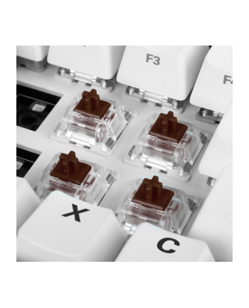 Sharkoon Gateron Pro Brown switch set, key switches (brown/transparent, 35 pieces)