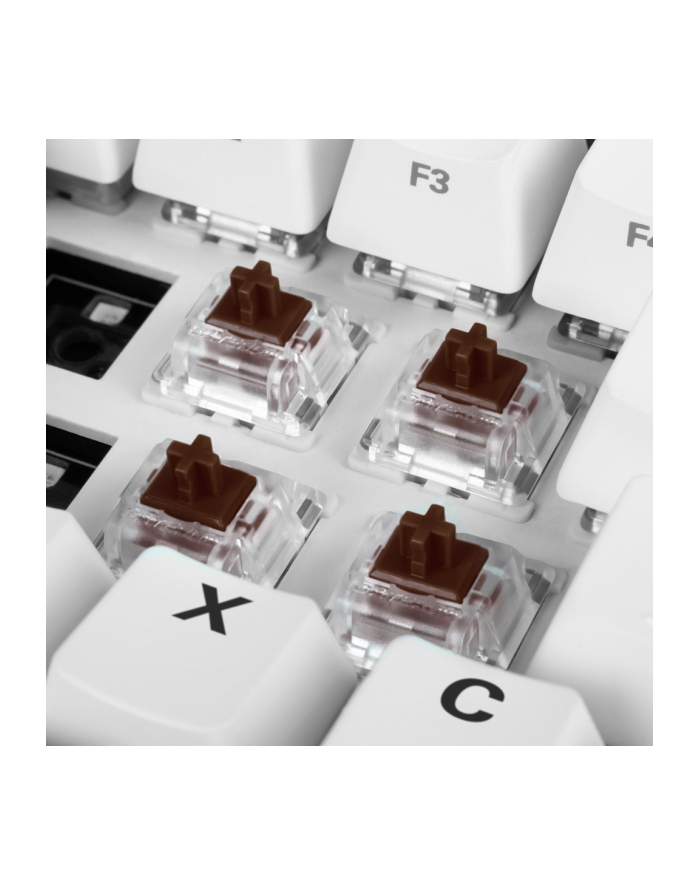 Sharkoon Gateron Pro Brown switch set, key switches (brown/transparent, 35 pieces) główny