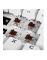 Sharkoon Gateron Pro Brown switch set, key switches (brown/transparent, 35 pieces) - nr 8