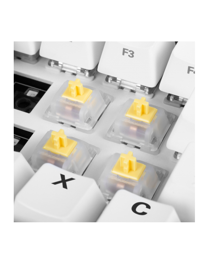 Sharkoon Gateron Cap Milky-Yellow switch set, button switches (yellow/Kolor: BIAŁY, 35 pieces) główny