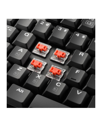 Sharkoon PureWriter RGB, gaming keyboard (Kolor: BIAŁY, US layout, kailh choc low Profile red)