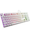 Sharkoon PureWriter RGB, gaming keyboard (Kolor: BIAŁY, US layout, kailh choc low profile blue) - nr 1