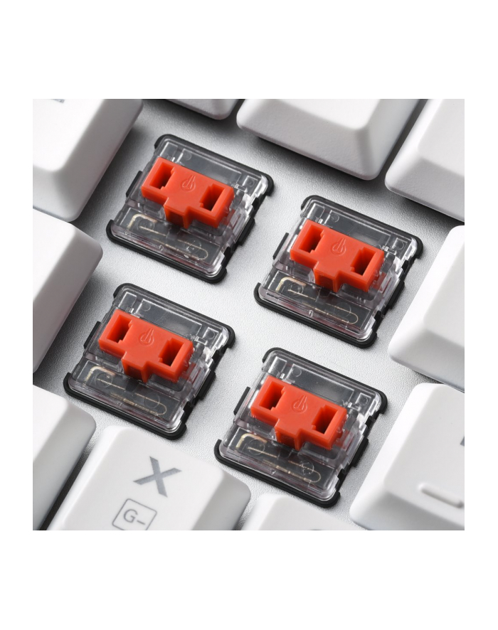 Sharkoon PureWriter TKL RGB, gaming keyboard (Kolor: BIAŁY, US layout, kailh choc low profile red) główny