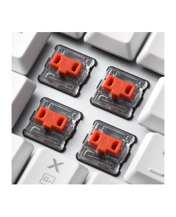 Sharkoon PureWriter TKL RGB, gaming keyboard (Kolor: BIAŁY, US layout, kailh choc low profile red)