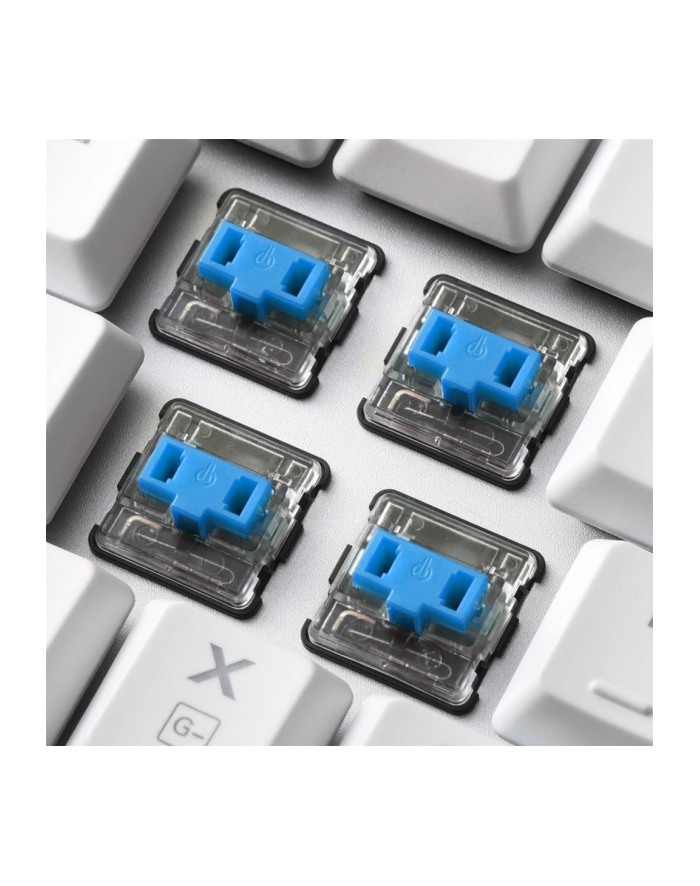 Sharkoon PureWriter TKL RGB, gaming keyboard (Kolor: BIAŁY, US layout, kailh blue) główny