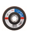 bosch powertools Bosch flap disc X551 Expert for Metal 125 mm (80 grit) - nr 1