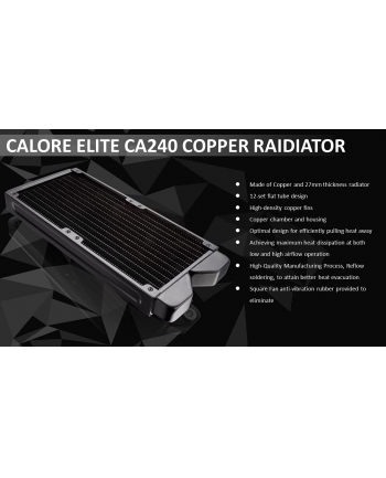 RAIJINTEK SCYLLA ELITE CA240 240mm, water cooling (Kolor: CZARNY, DiY-Kit)