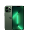 Apple iPhone 13 Pro - 6.1 - 256GB - Alpine Green - iOS - MNE33ZD/A - nr 16