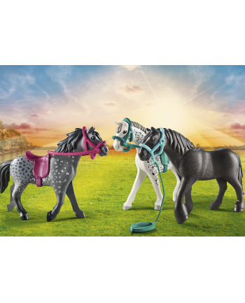PLAYMOBIL 70999 3 horses: Friesian, Knabstrupper ' Andalusian, construction toy