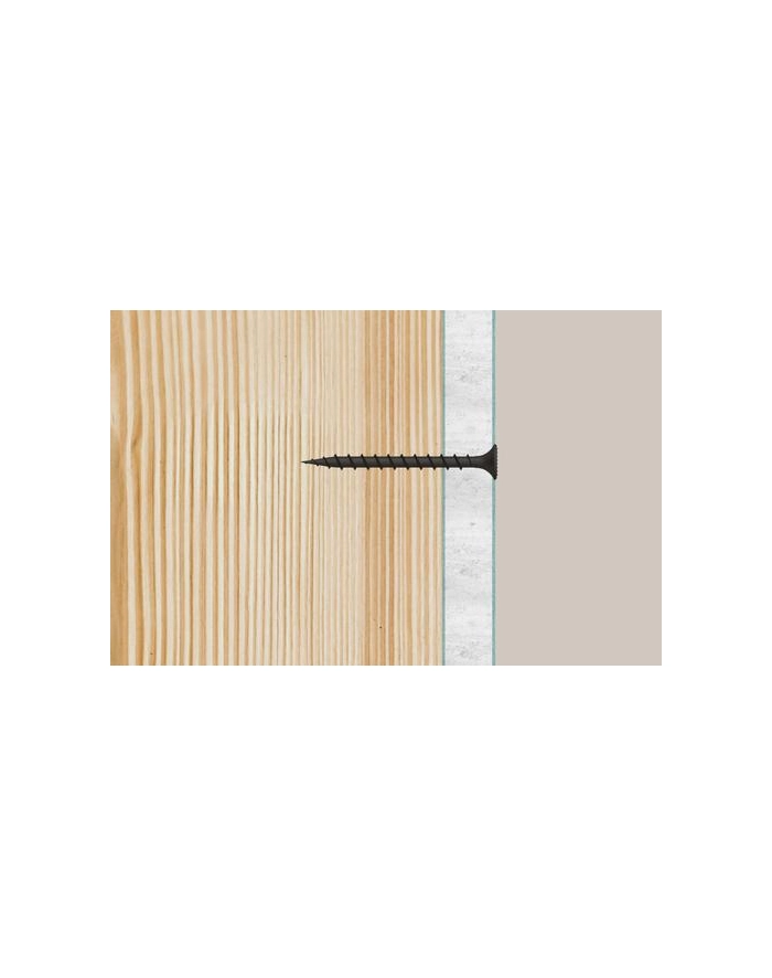 fischer drywall screw 3.9x35 trumpet head, PH (1,000 pieces, coarse thread) główny