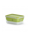 Emsa CLIP ' GO Lunchbox XL, lunch box (green/transparent, with inserts) - nr 2