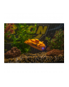 Carson XS Deep Sea Dragon, toy wehicle (orange) - nr 9