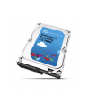 seagate Dysk Exos 7E10 4TB 512n SATA 3,5 ST4000NM000B - nr 3