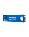 western digital Dysk SSD Blue 250GB SA510 M.2 2280 WDS250G3B0B - nr 34