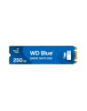 western digital Dysk SSD Blue 250GB SA510 M.2 2280 WDS250G3B0B - nr 35
