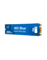 western digital Dysk SSD Blue 250GB SA510 M.2 2280 WDS250G3B0B - nr 36