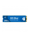 western digital Dysk SSD Blue 250GB SA510 M.2 2280 WDS250G3B0B - nr 37