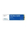 western digital Dysk SSD Blue 250GB SA510 M.2 2280 WDS250G3B0B - nr 21