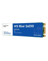 western digital Dysk SSD Blue 250GB SA510 M.2 2280 WDS250G3B0B - nr 31