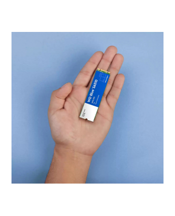 western digital Dysk SSD Blue SSD 500GB SA510 M.2 2280 WDS500G3B0B nr 2