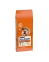 purina nestle Purina Dog Chow Mature Senior Jagnięcina 14kg - nr 6