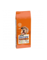 purina nestle Purina Dog Chow Mature Senior Jagnięcina 14kg - nr 1