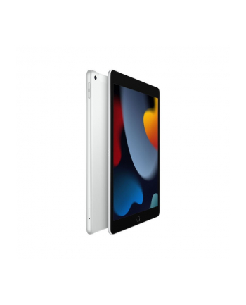 Apple iPad 102 Wi-Fi 256GB Silver