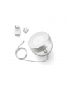 Philips 8719514411524 Hue White and color ambiance Iris silver special edition - nr 15