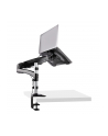 StarTech ARMUNONB1 .com stojak na notebooka Ramię notebooka i monitora Czarny - nr 18