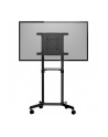 StarTech MBLTVSTNDEC .com uchwyt do telewizorów 177,8 cm (70') Czarny - nr 24