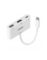 Lindy 43340 adapter kablowy 0,18 m HDMI + USB Type-A USB Type-C Biały - nr 10
