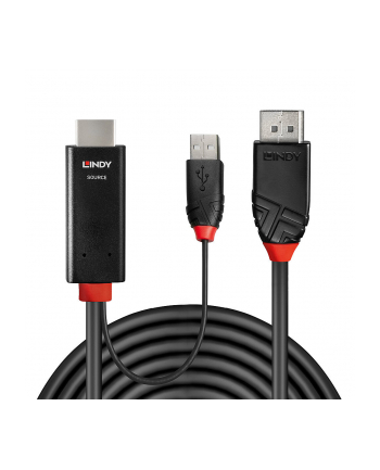Lindy 41498 adapter kablowy 1 m HDMI + USB Type-A DisplayPort Czarny