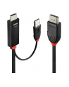 Lindy 41498 adapter kablowy 1 m HDMI + USB Type-A DisplayPort Czarny - nr 7
