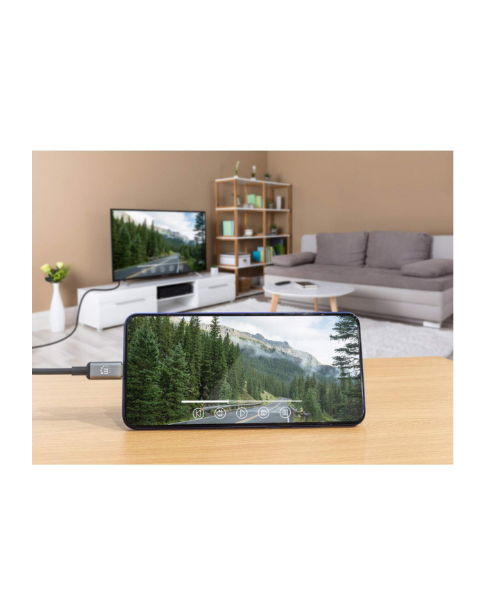 Manhattan 153607 adapter kablowy 2 m HDMI Typu A (Standard) USB Type-C Czarny, Srebrny główny