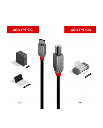 Lindy 36942 kabel USB 2 m USB 2.0 USB C USB B Czarny