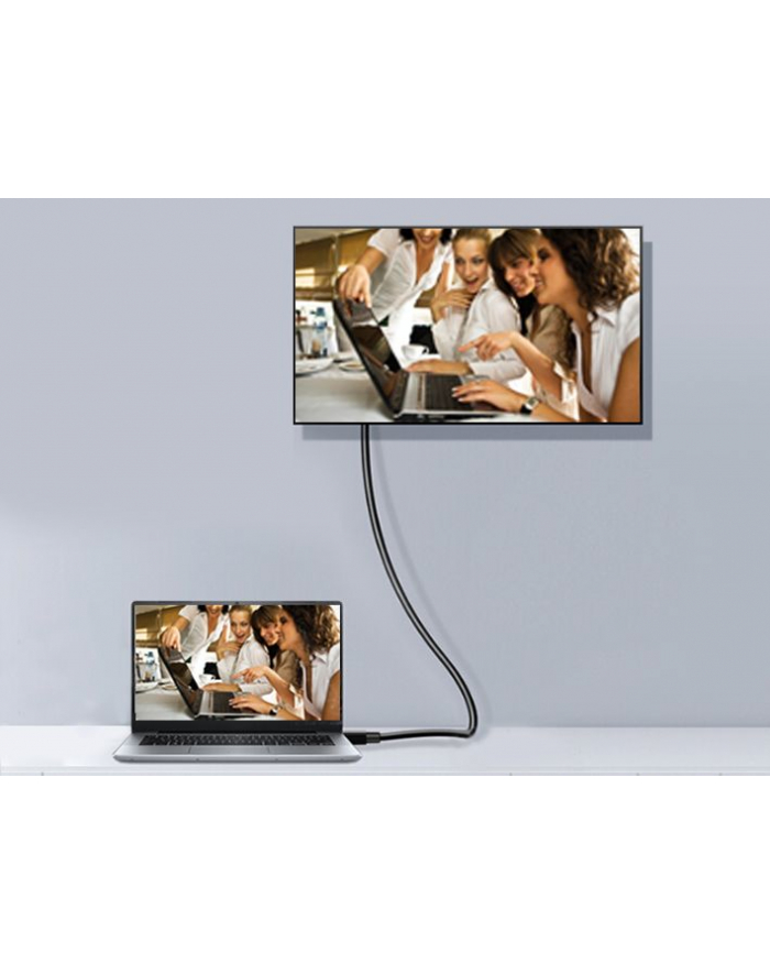 Equip 119265 kabel DisplayPort 5 m Aluminium, Czarny główny