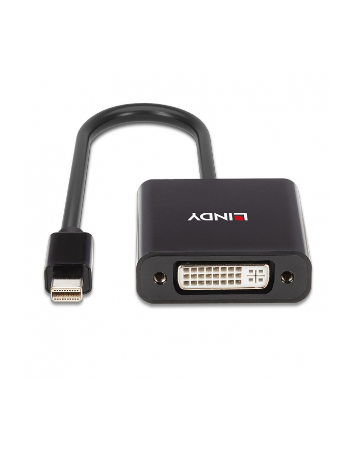 Lindy 41736 zmieniacz płci / kabli Mini DisplayPort DVI-D Czarny główny