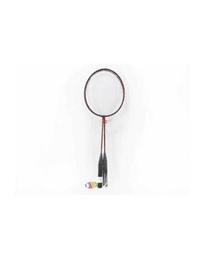 bigtoys Rakietki badminton 60cm BGR8241 główny